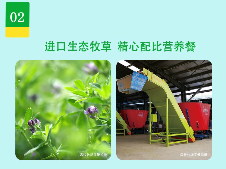 学生营养罐装详情_04.jpg