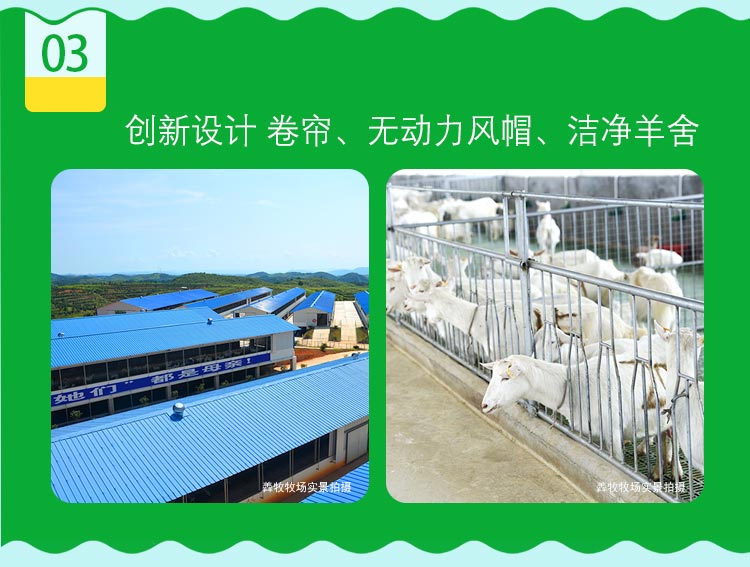 学生营养罐装详情_05.jpg