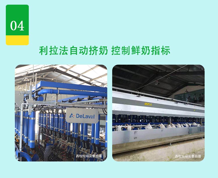 学生营养罐装详情_06.jpg