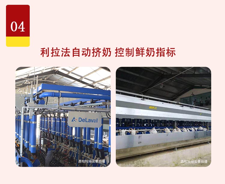 羴醇醇羊乳粉罐装详情_06.jpg